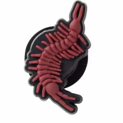Crocs Brown Centipede Jibbitz™ Shoe Charm